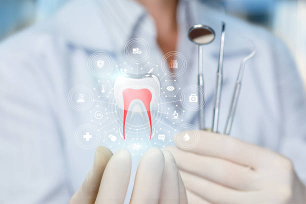Why Choose Us for Your Dental Needs in North Shore, CA